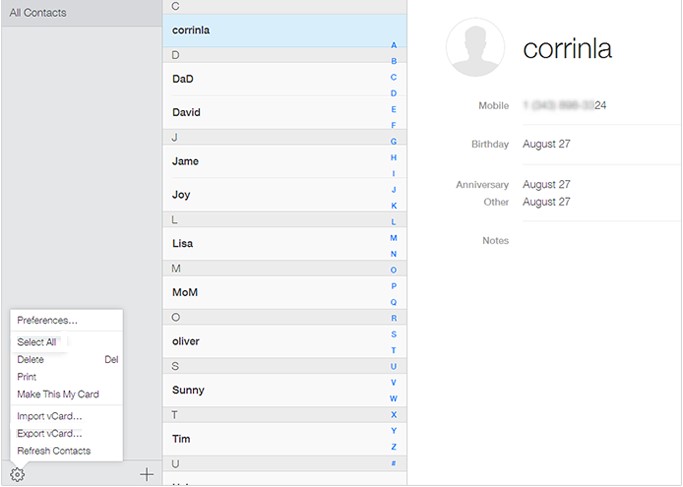 Export Contacts from iCloud