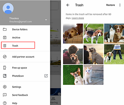 Recover from Google Photos