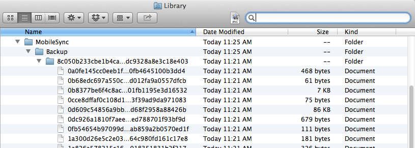 iCloud SMS Backup Directory