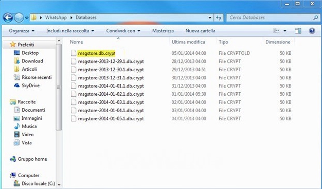 WhatsApp Local Backup File Detail