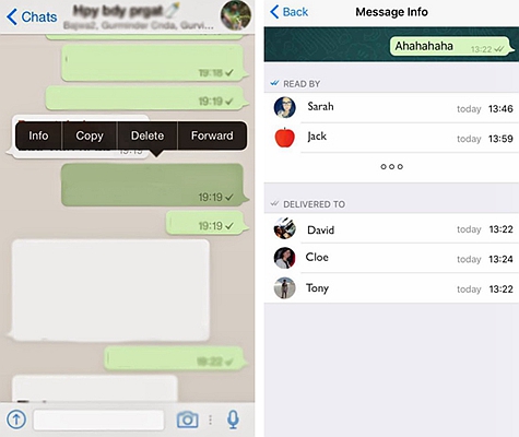How to know if someone read your message on iphone How To Know Who Has Read Whatsapp Group Message On Iphone And Android