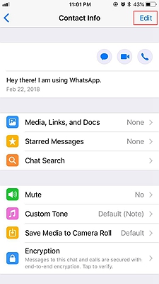 WhatsApp Contact 7