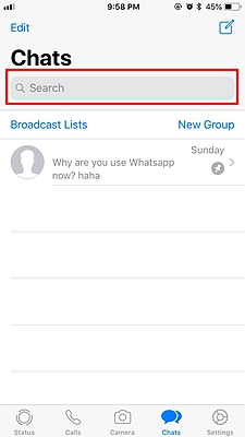 WhatsApp Search Chat 1