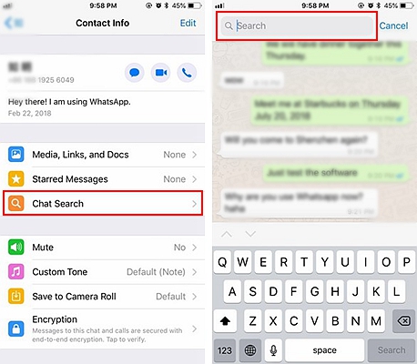 WhatsApp Search Chat 2