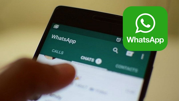 WhatsApp Search Chat