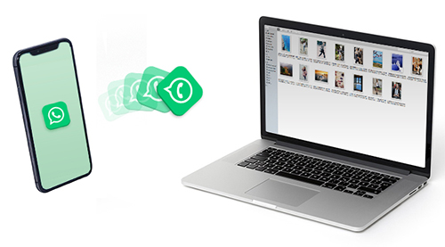 Backu iPhone WhatsApp to PC