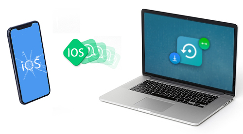 Fix iOS System