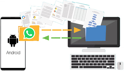 WhatsApp Transfer Android to PC